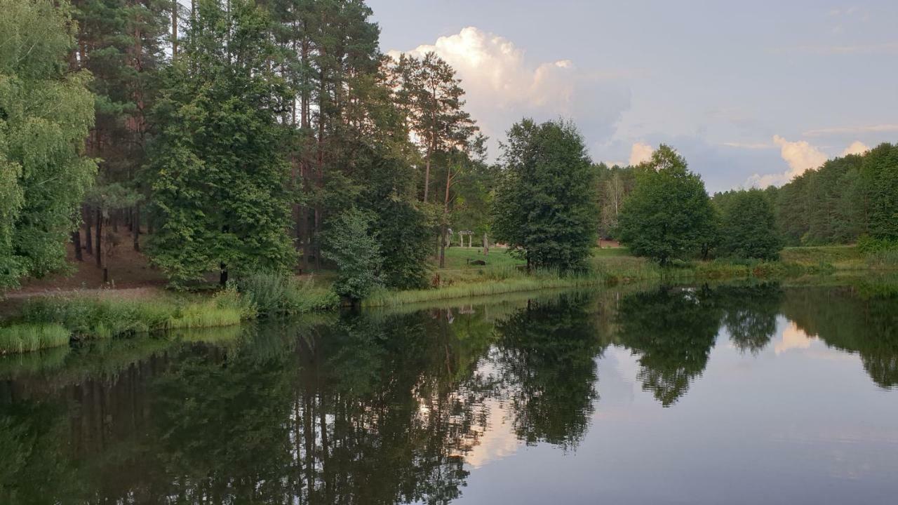 Garden Studio By The Lake With Air-Con And Infrasauna Druskininkai Esterno foto